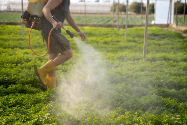 Best Wildlife Control Services  in Park River, ND