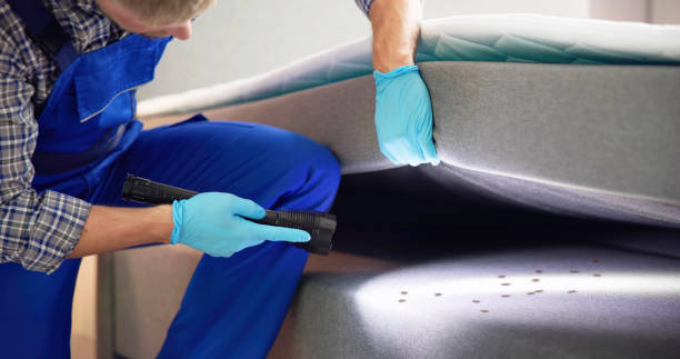 Best Emergency Pest Control  in Park River, ND
