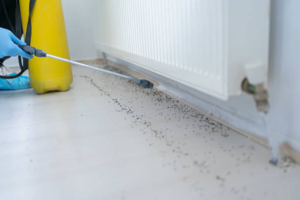 Trusted Park River, ND Pest Control Experts